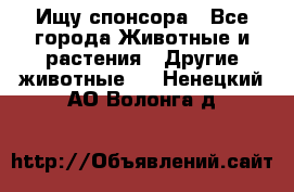 Ищу спонсора - Все города Животные и растения » Другие животные   . Ненецкий АО,Волонга д.